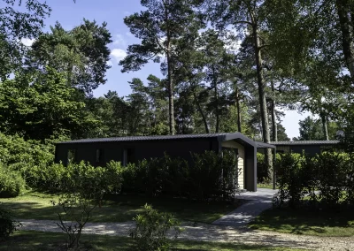 Pinecone Huisje op de Veluwe